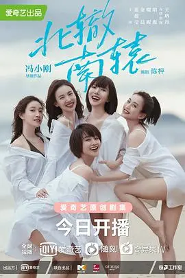 《北辙南辕》：都市女性群像图，谁的梦想照进了现实？深度剖析与情感共鸣