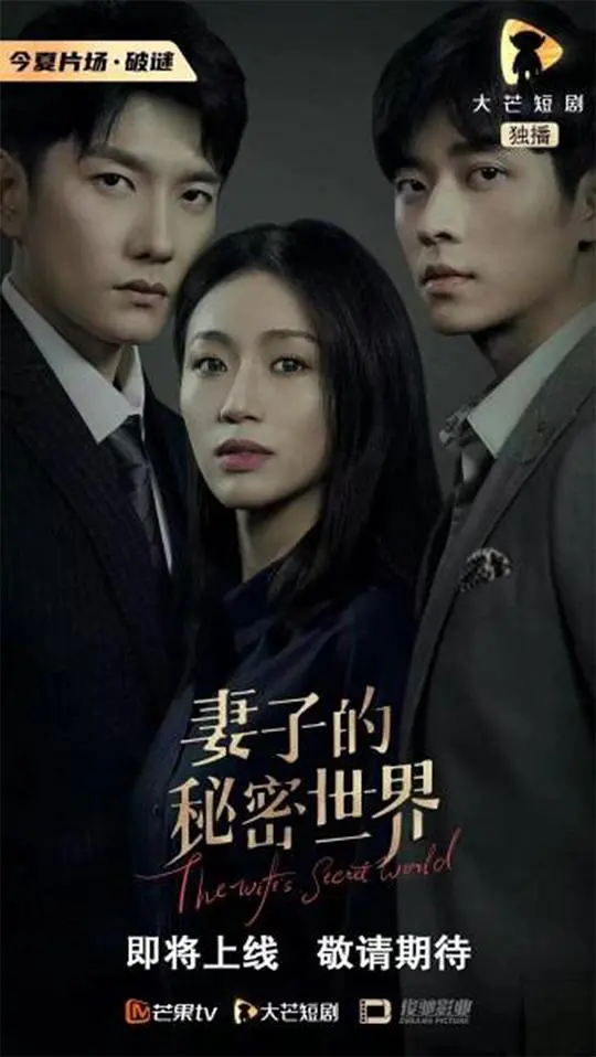 《妻子的秘密世界》：婚姻的真相，藏在日常琐碎的温柔谎言里