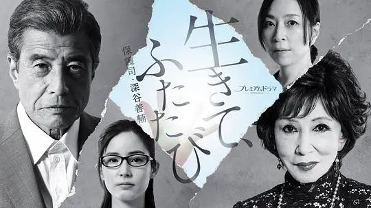 《活着，重新开始 保护司·深谷善辅》：当守护者也需要救赎，平凡英雄的治愈与新生