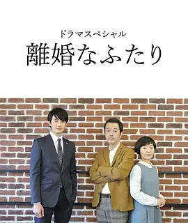《离婚的二人》：一部关于婚姻困境与人性抉择的深刻探讨，真实得令人心疼